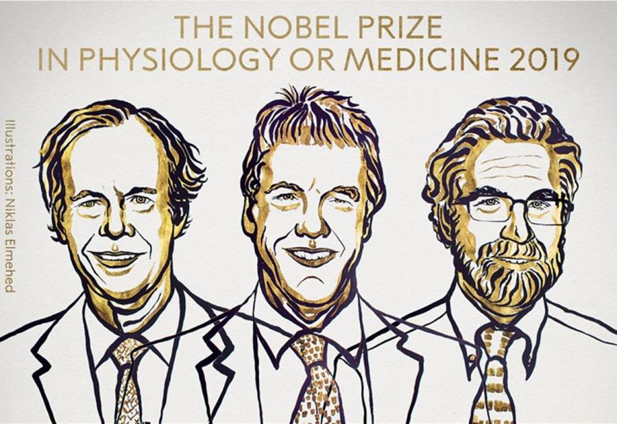 برندگان نوبل پزشکی 2019