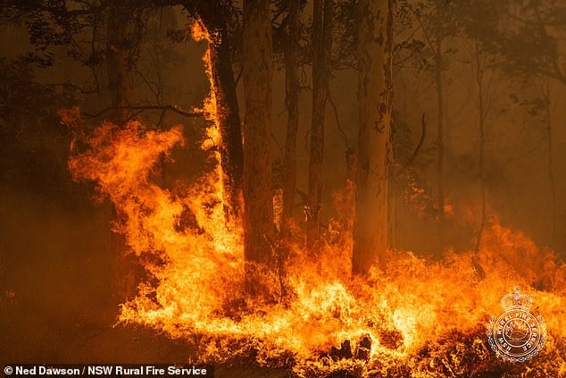 بحران آتش‌سوزی استرالیا